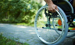 disability discrimination law